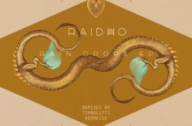 SOL071 - Raidho - Rain Drops EP