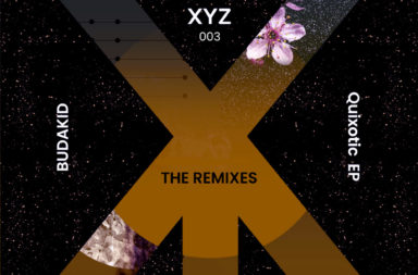 Budakid, Quixotic Remixes
