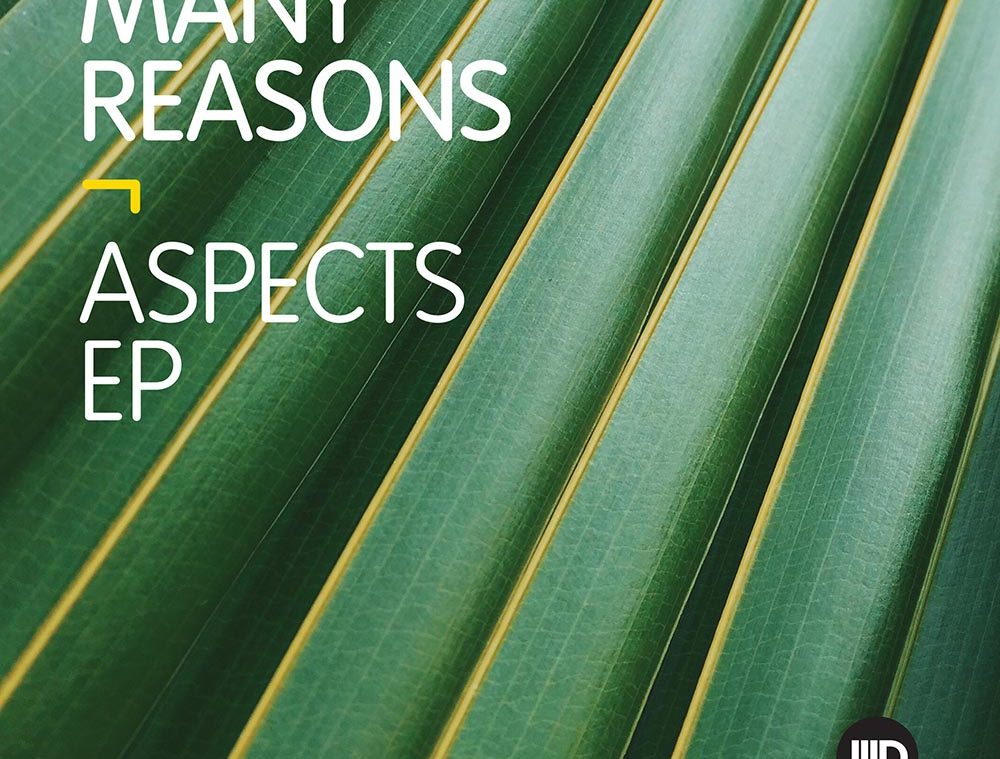 Many Reasons – Aspects EP – ID136 – HimSelfHer